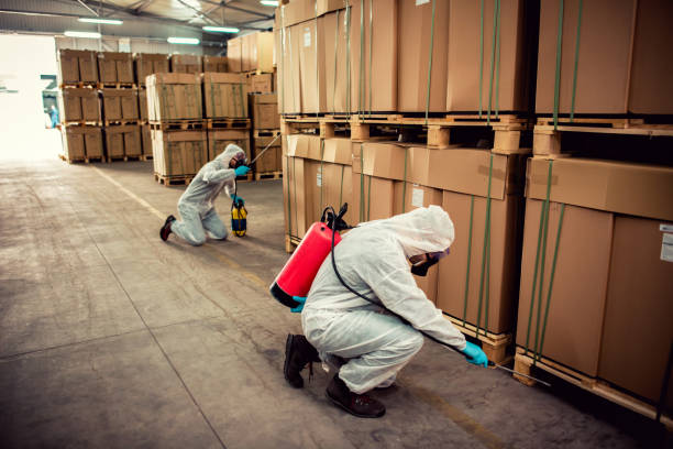 Best Pest Inspection Near Me  in Flora, MS