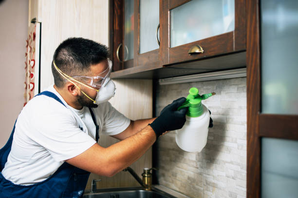 Best Wildlife Control Services  in Flora, MS