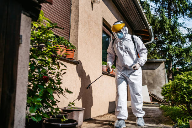 Flea Control Services in Flora, MS